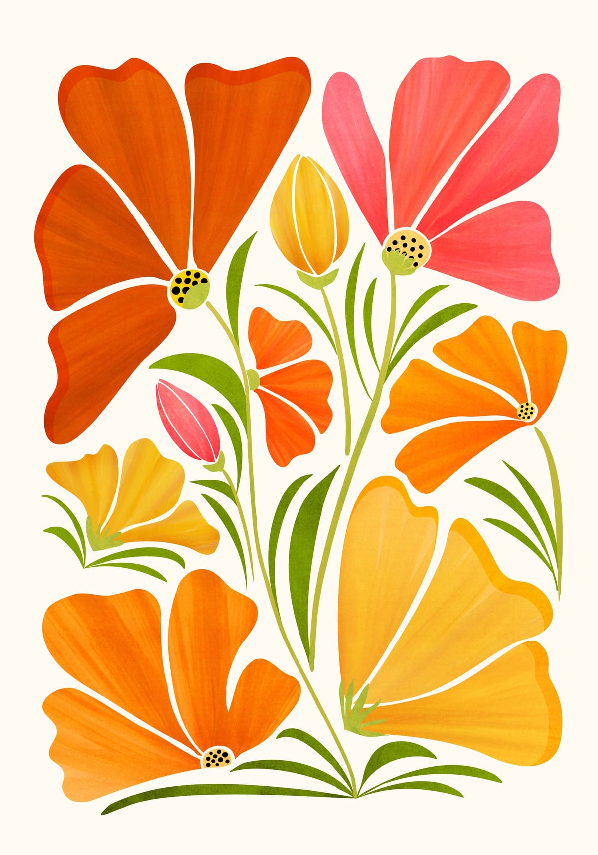 variant-70x100_no-margin