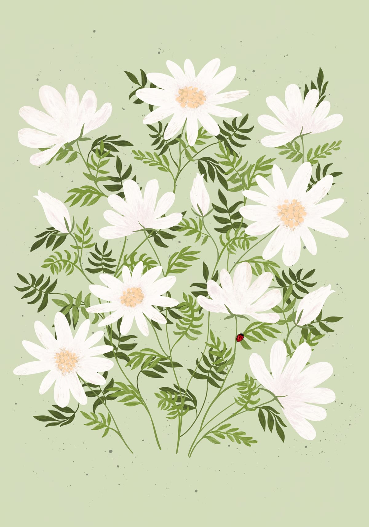 variant-70x100_no-margin