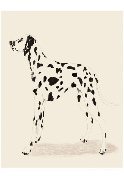 variant-70x100_no-margin