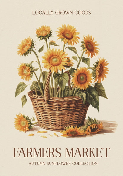 variant-70x100_no-margin