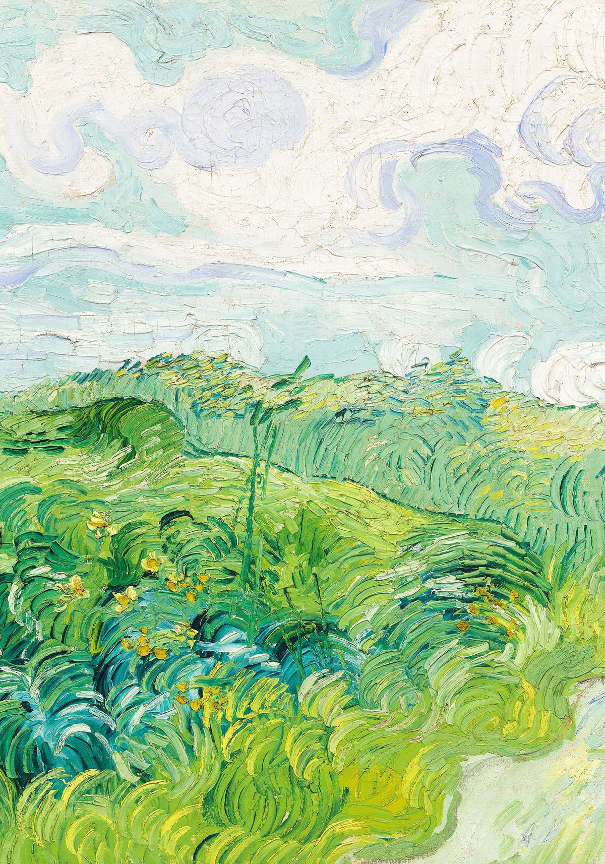 variant-70x100_no-margin