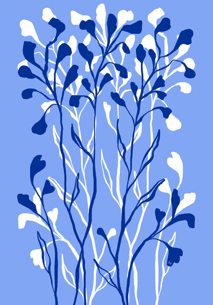 variant-70x100_no-margin