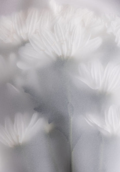 variant-70x100_no-margin