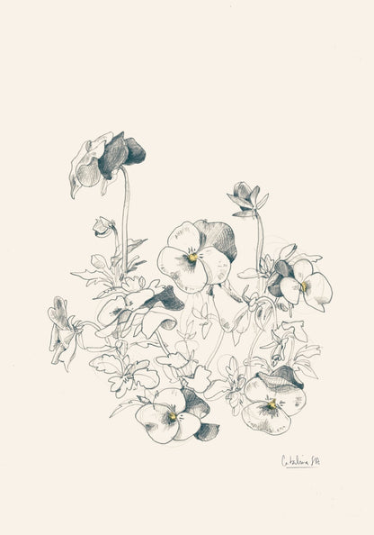 variant-70x100_no-margin