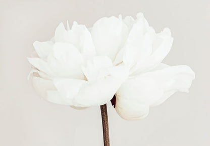 variant-70x100_no-margin
