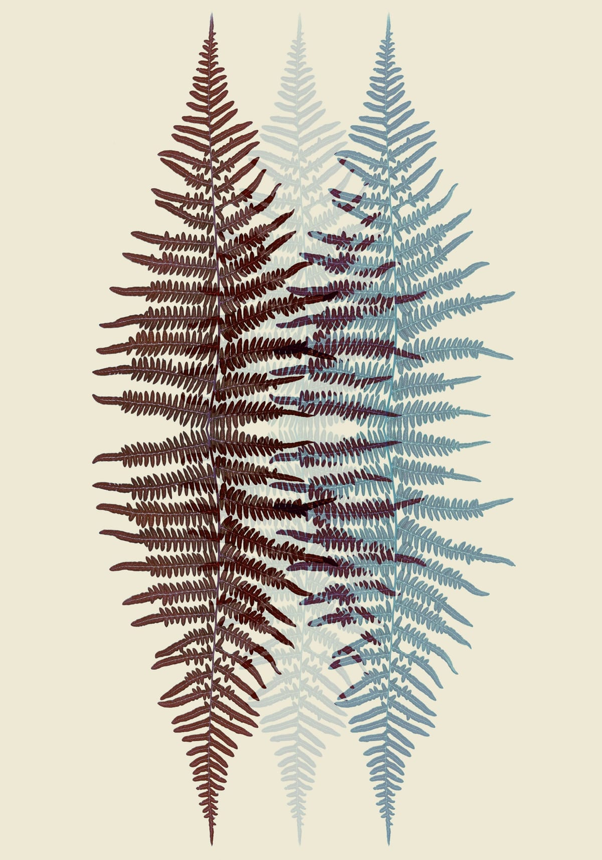 variant-70x100_no-margin