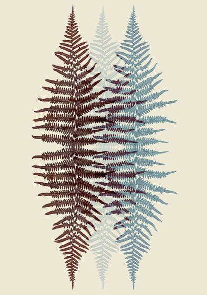 variant-70x100_no-margin