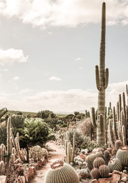 variant-70x100_no-margin