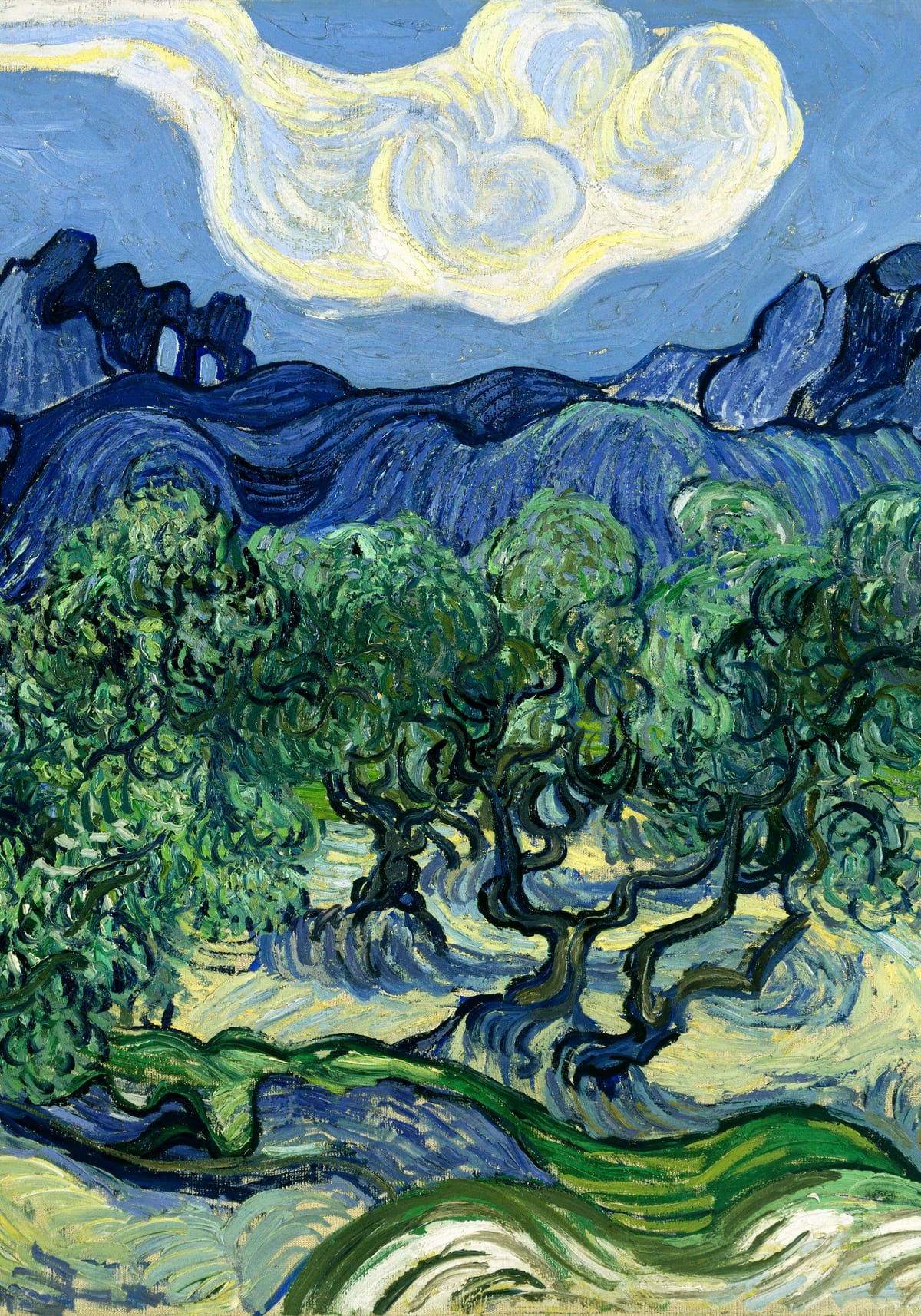 variant-70x100_no-margin