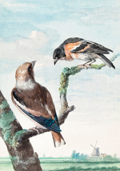 variant-70x100_no-margin