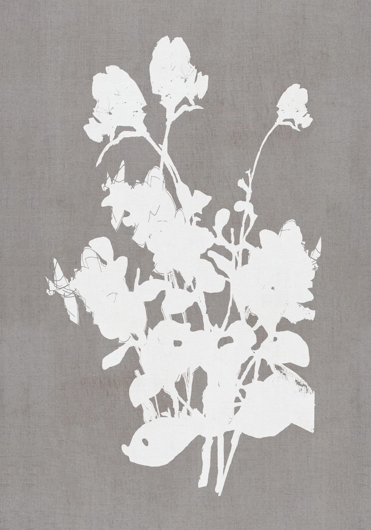 variant-70x100_no-margin