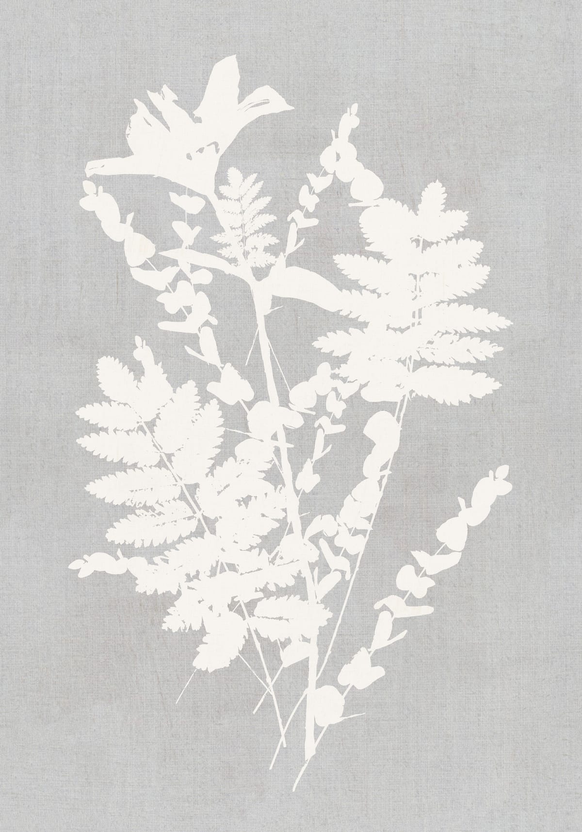 variant-70x100_no-margin