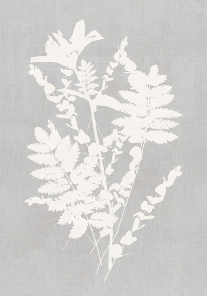variant-70x100_no-margin
