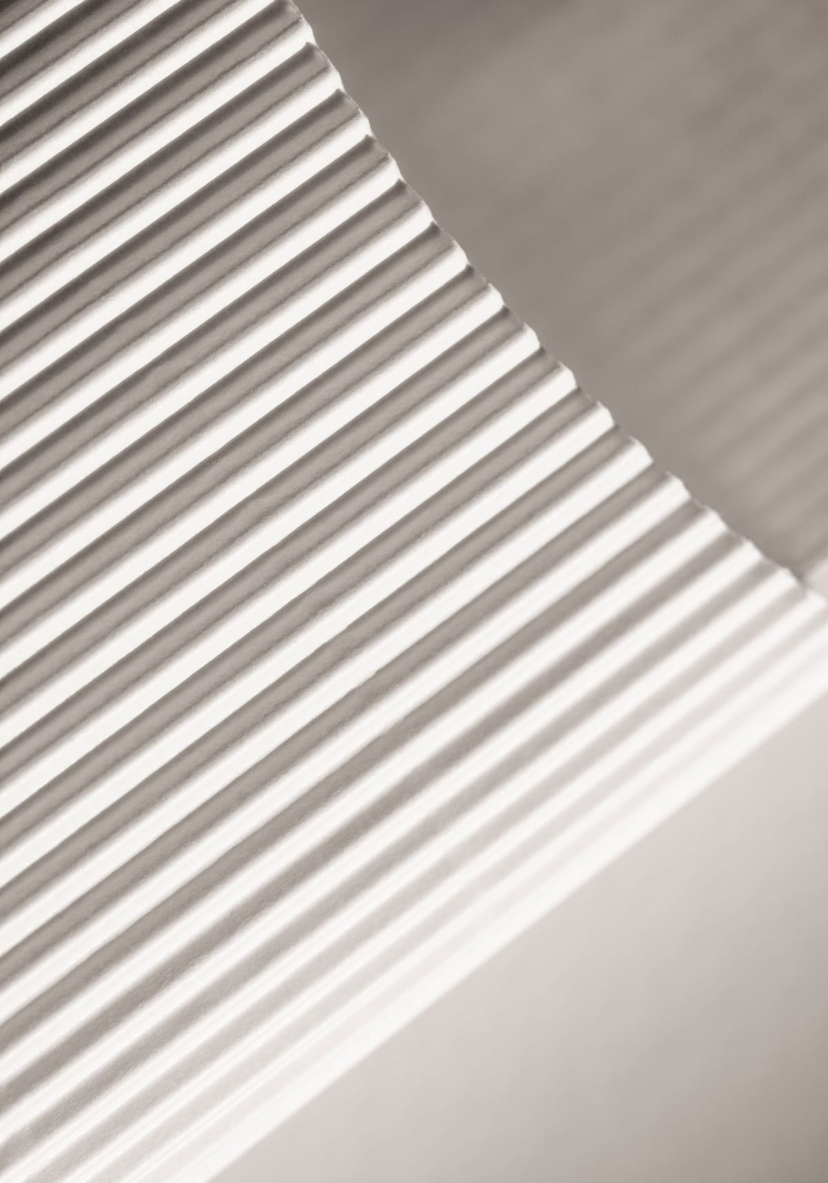 variant-70x100_no-margin