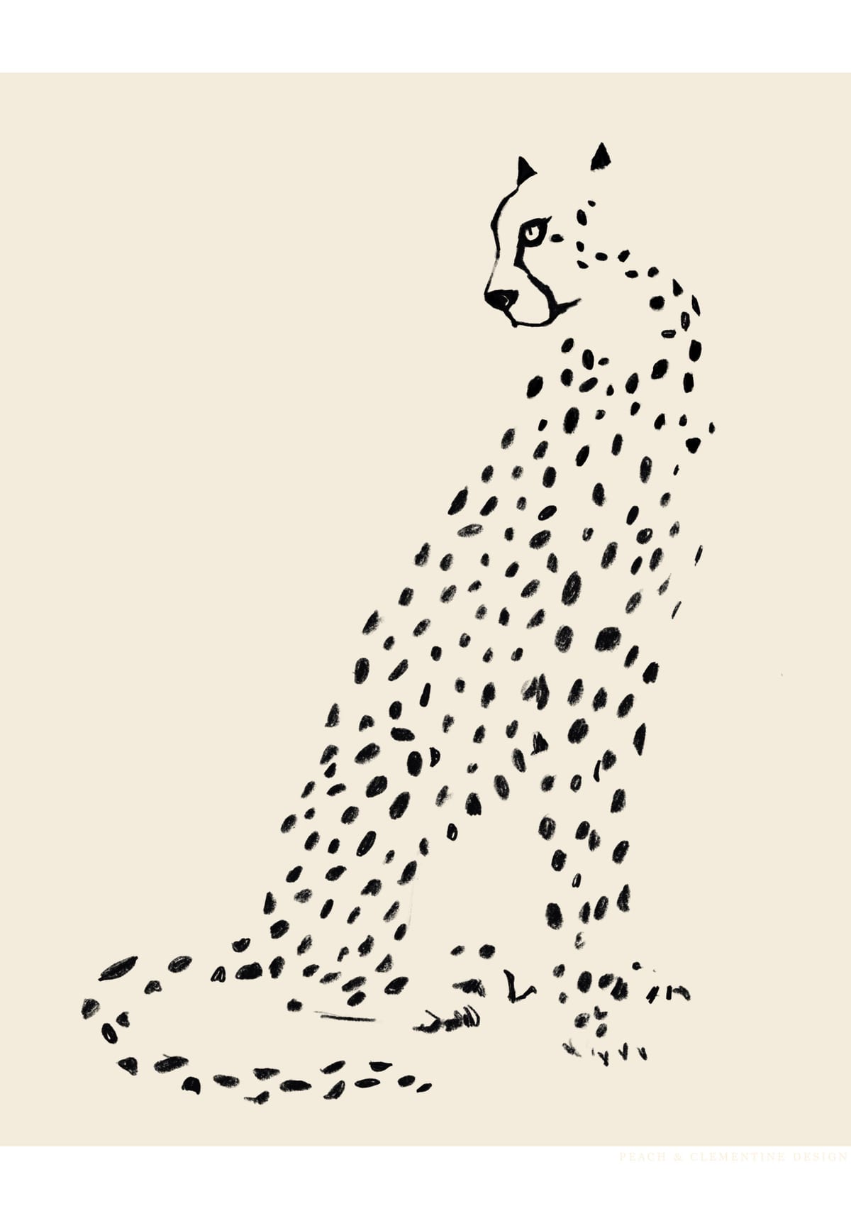 variant-70x100_no-margin