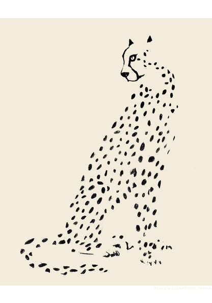 variant-70x100_no-margin