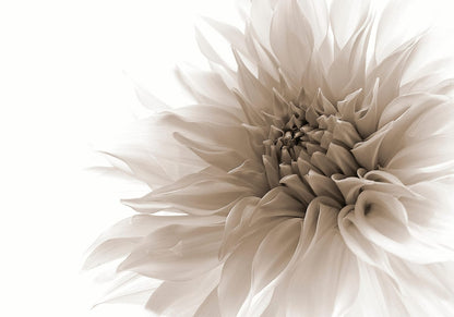 variant-70x100_no-margin