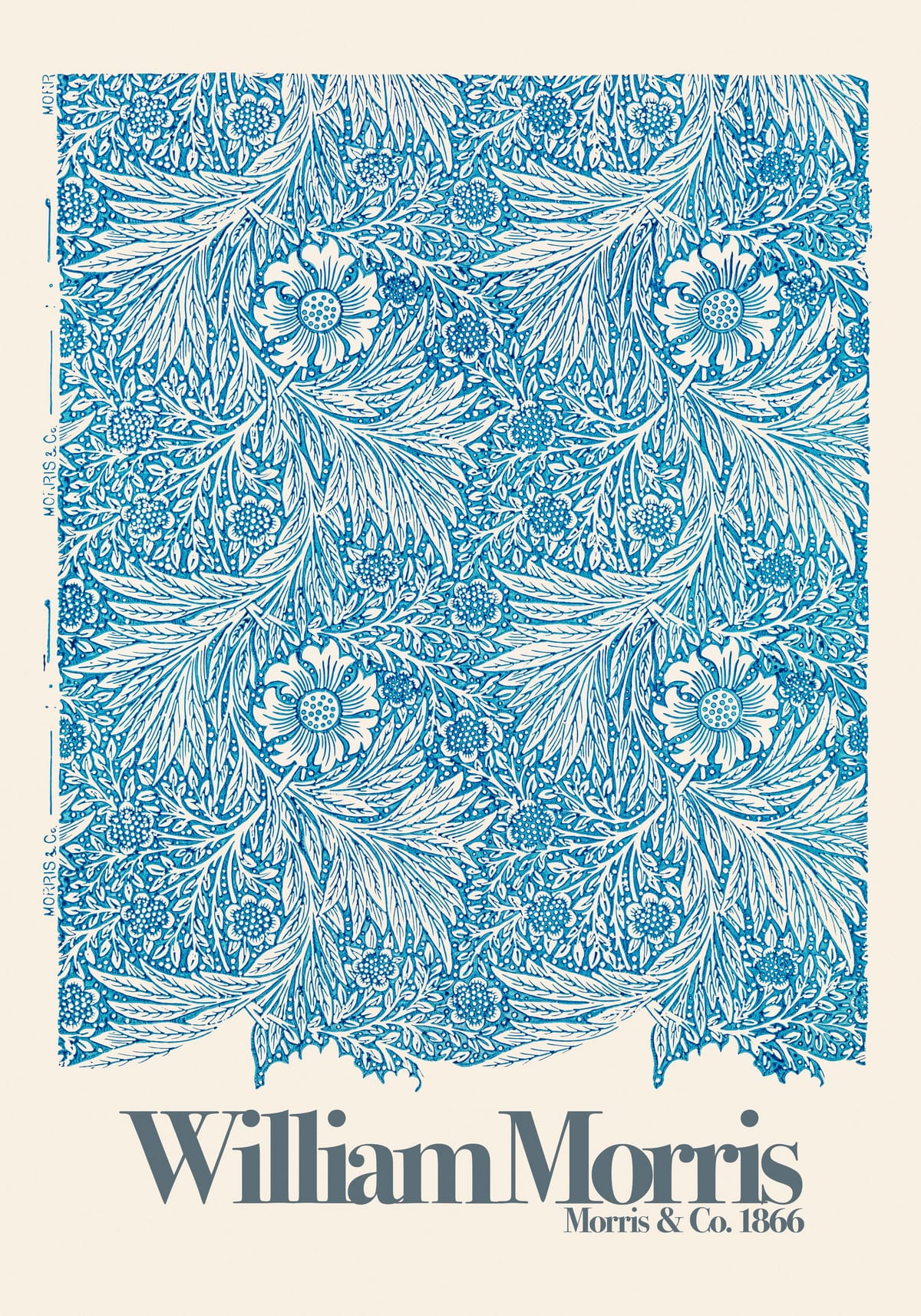 variant-70x100_no-margin