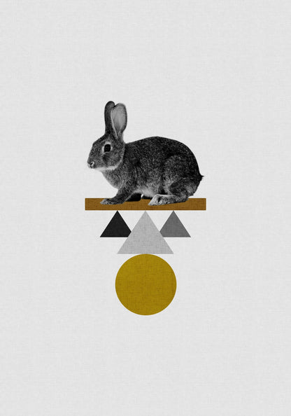 variant-70x100_no-margin