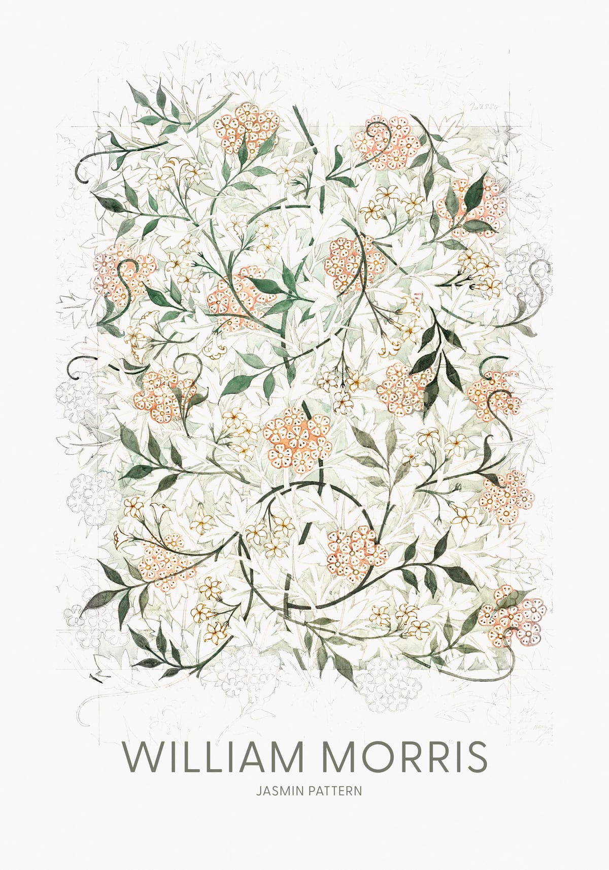 variant-70x100_no-margin
