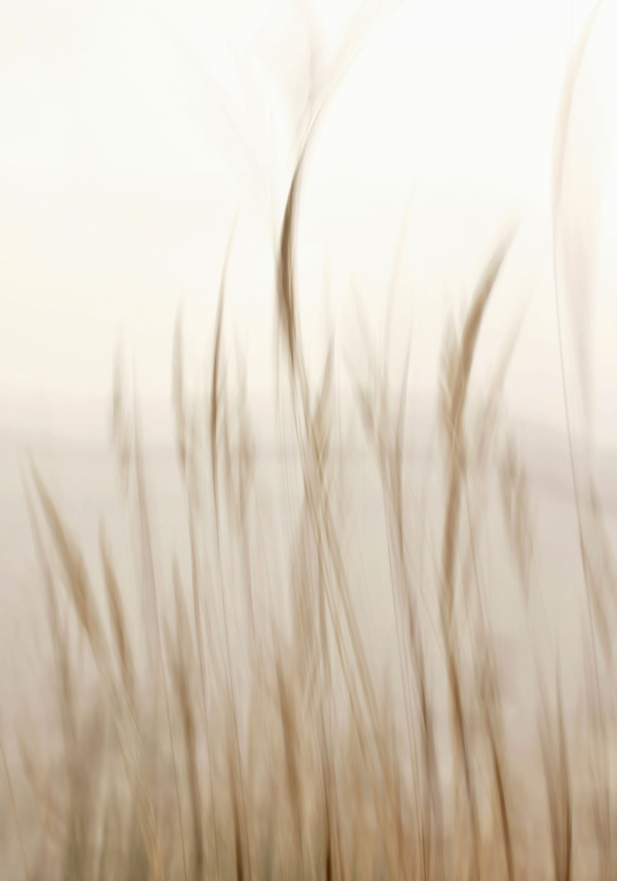 variant-70x100_no-margin