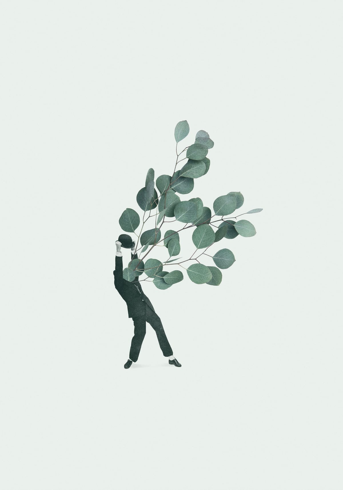 variant-70x100_no-margin