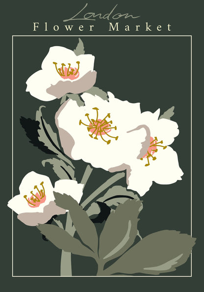 variant-70x100_no-margin