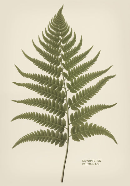 variant-70x100_no-margin
