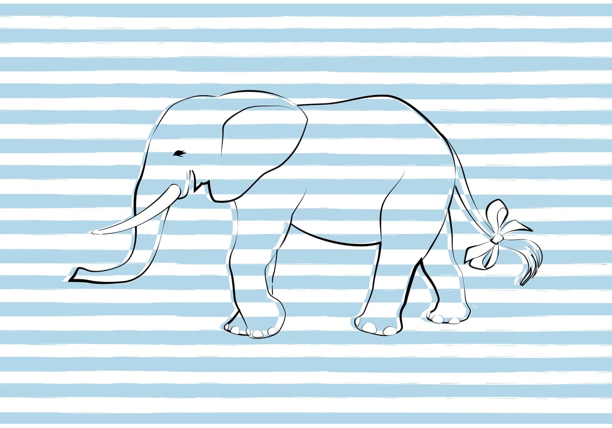 variant-70x100_no-margin