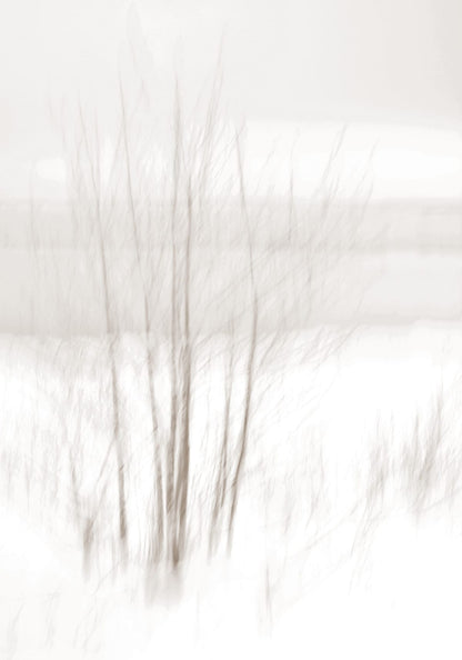 variant-70x100_no-margin