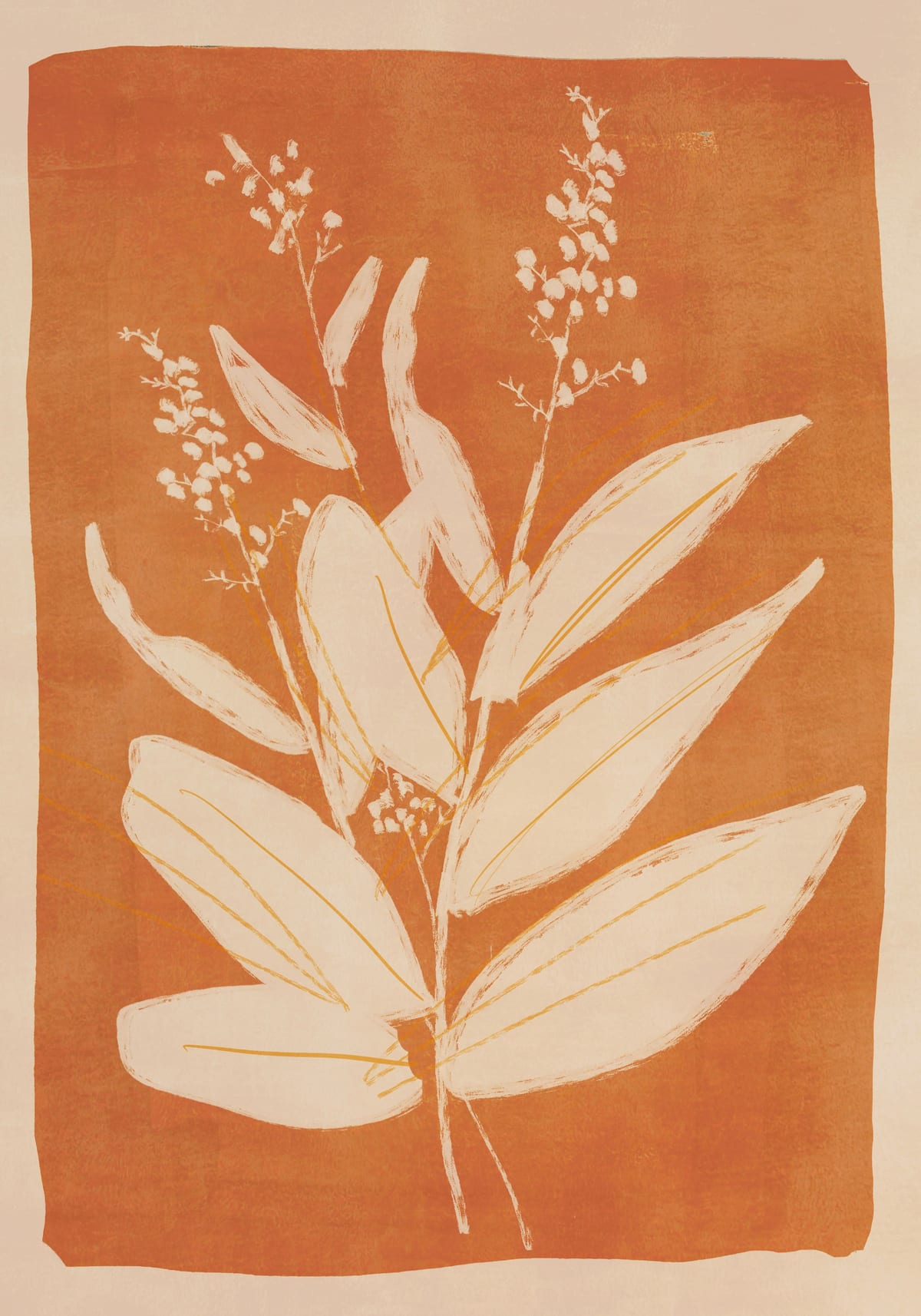 variant-70x100_no-margin