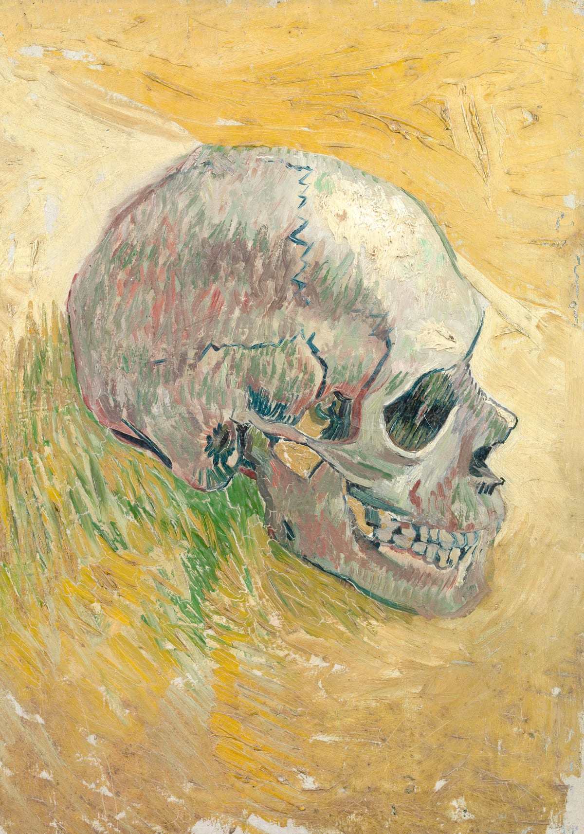 variant-70x100_no-margin