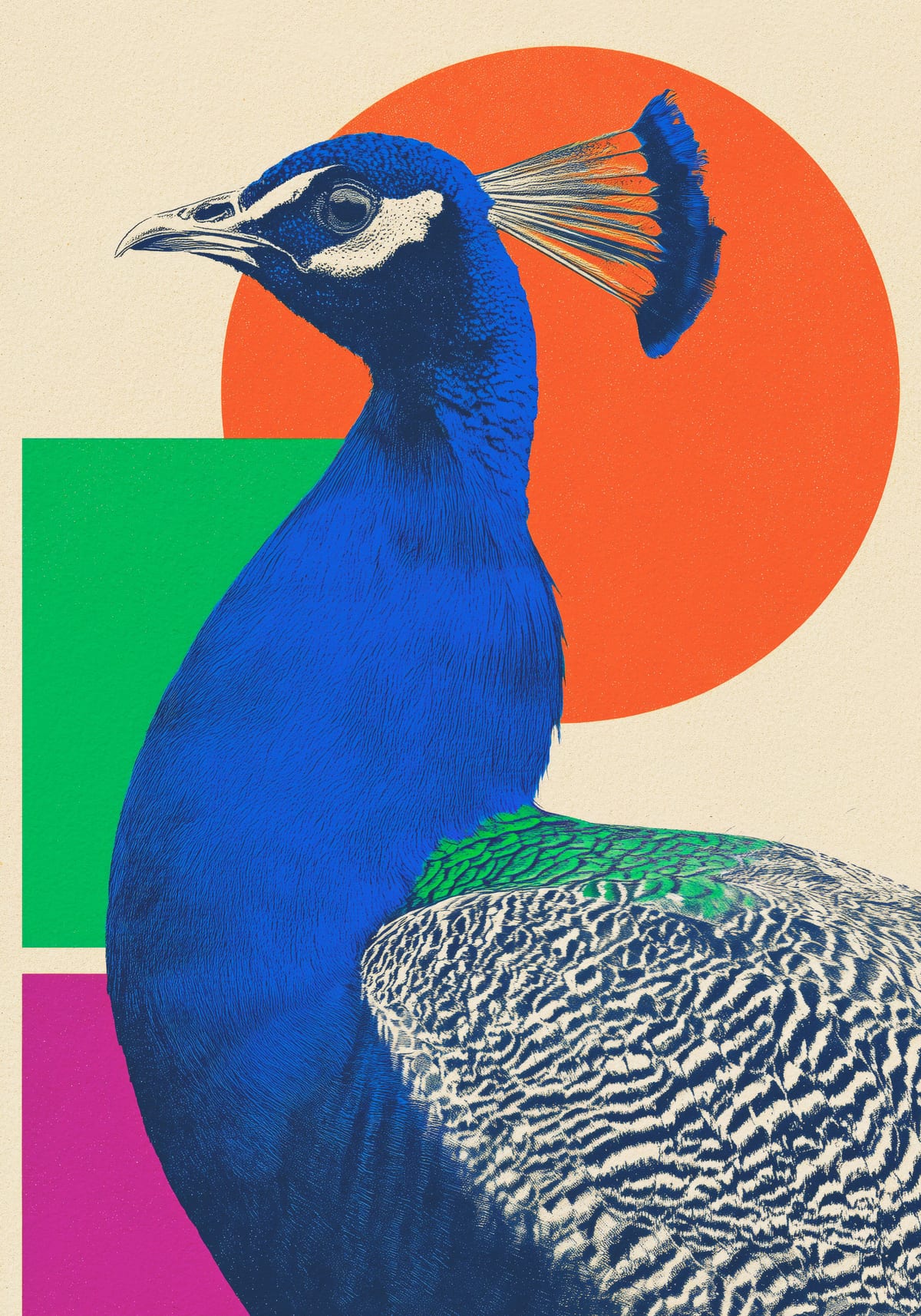 variant-70x100_no-margin