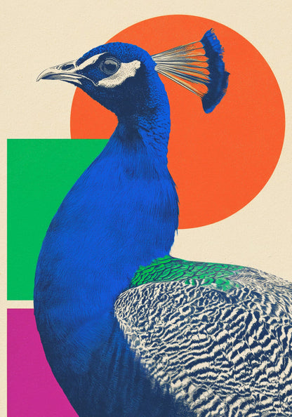 variant-70x100_no-margin