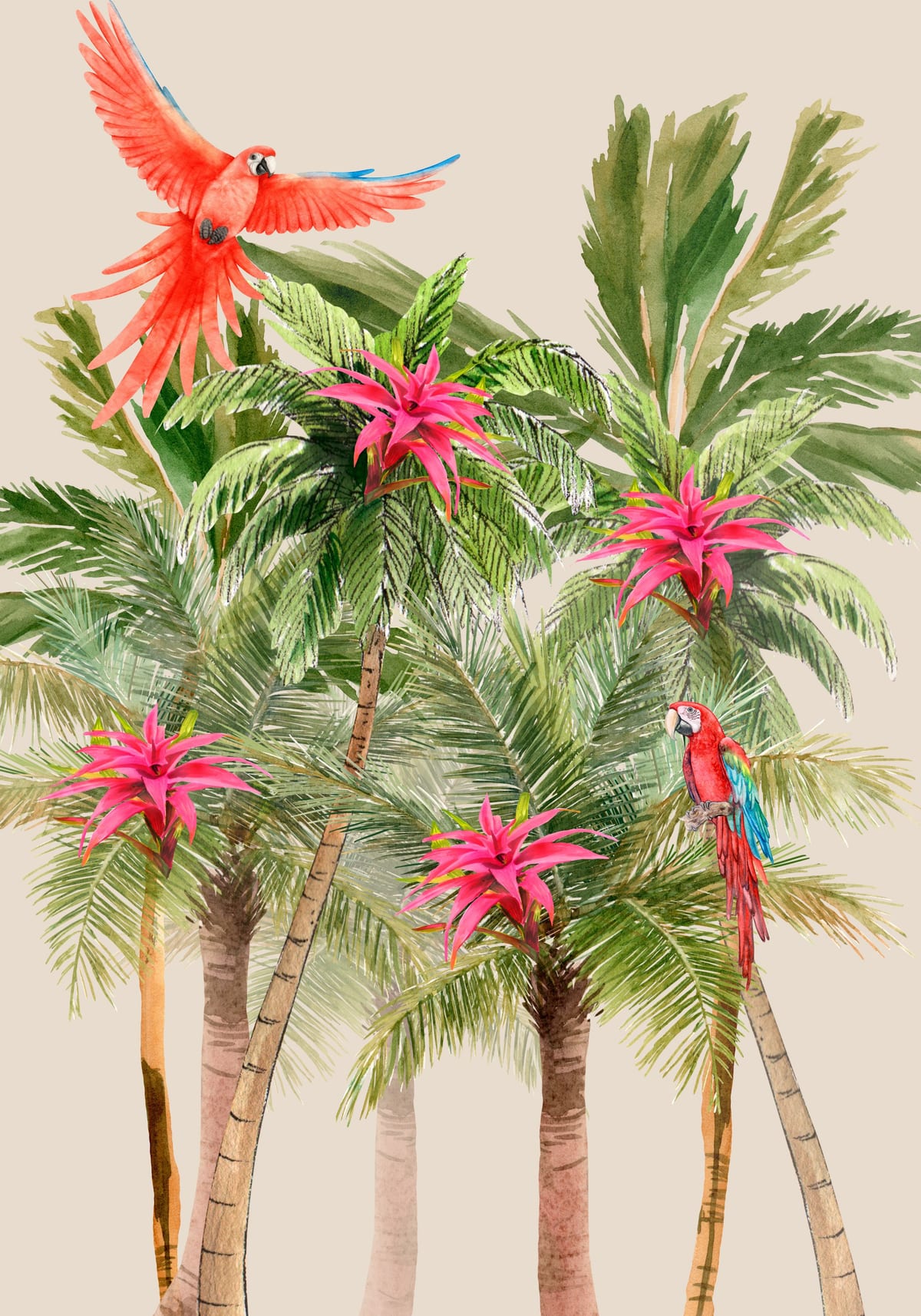 variant-70x100_no-margin