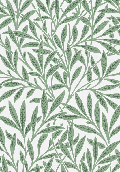 variant-70x100_no-margin