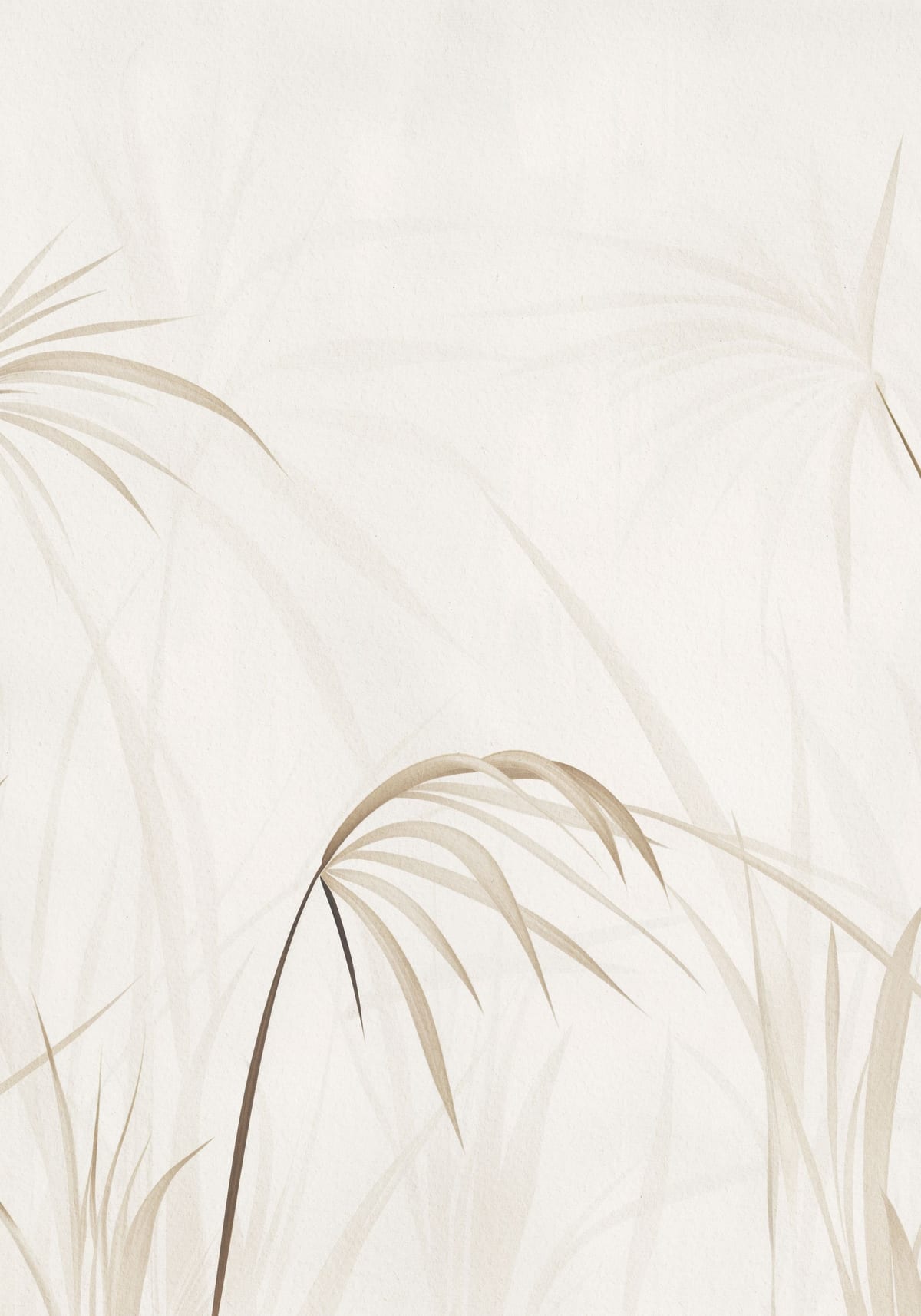 variant-70x100_no-margin
