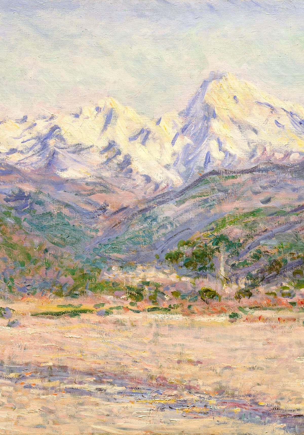 variant-70x100_no-margin