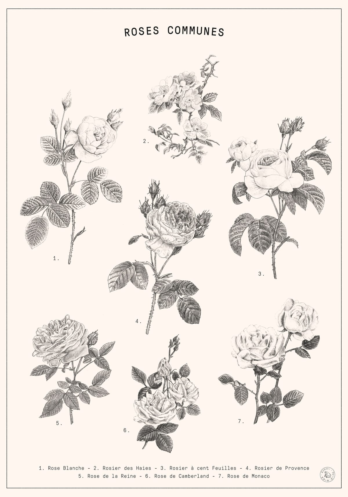 variant-70x100_no-margin