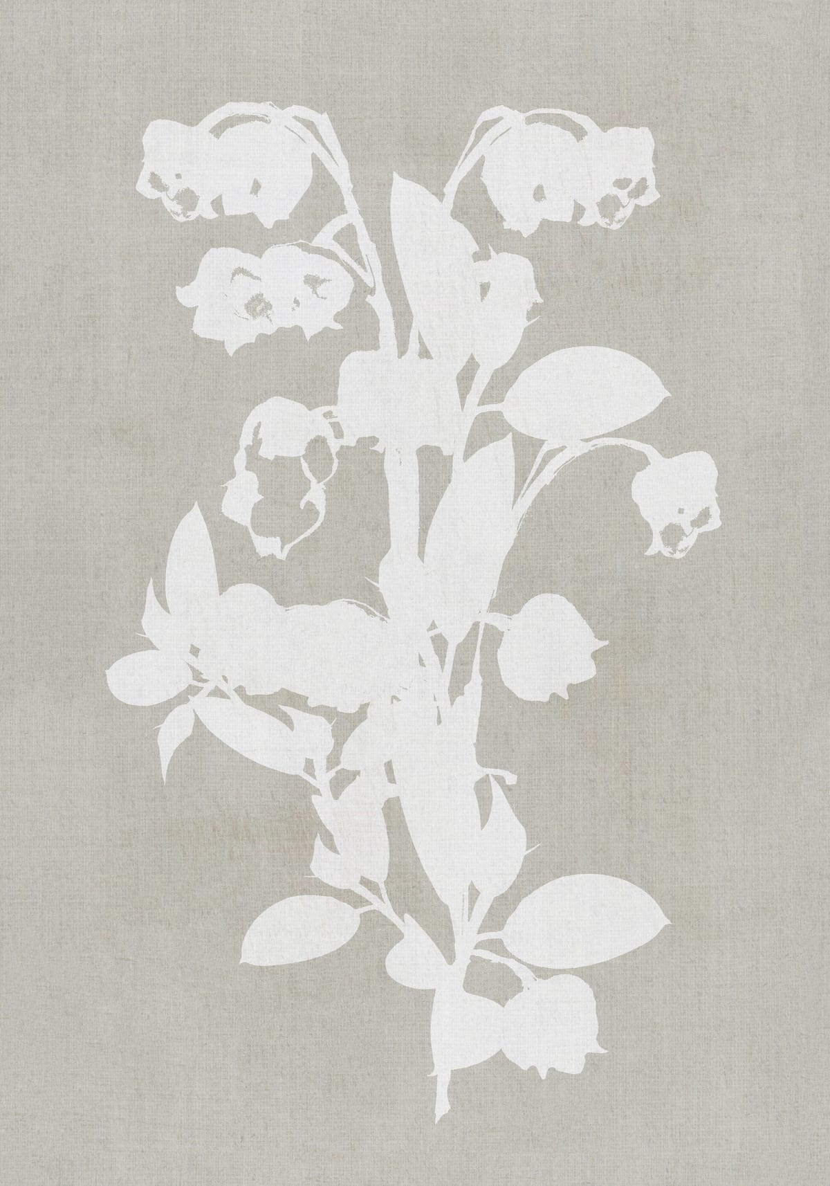 variant-70x100_no-margin