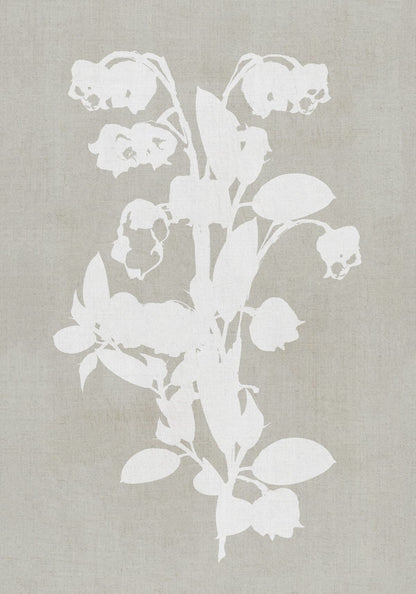 variant-70x100_no-margin