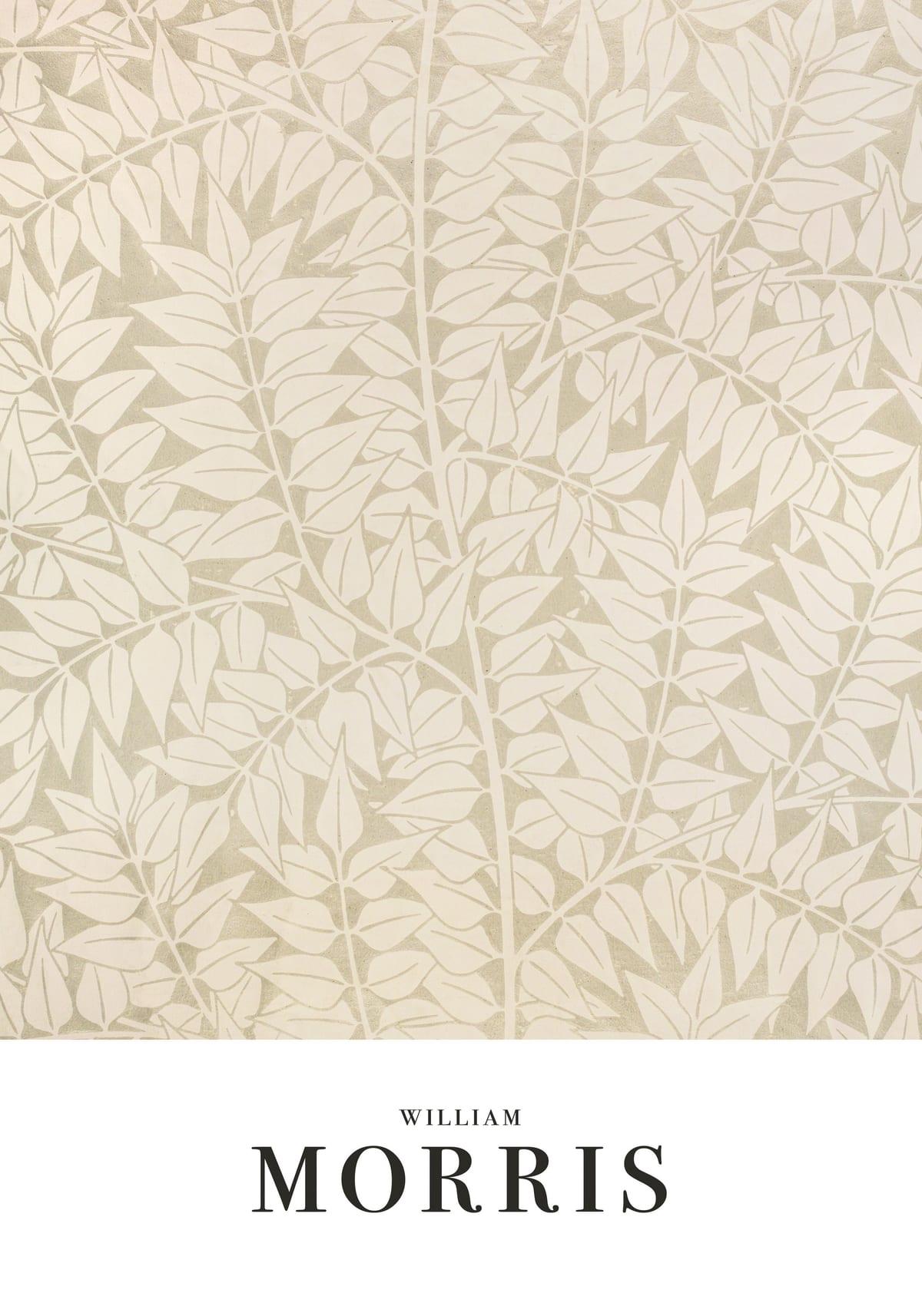 variant-70x100_no-margin
