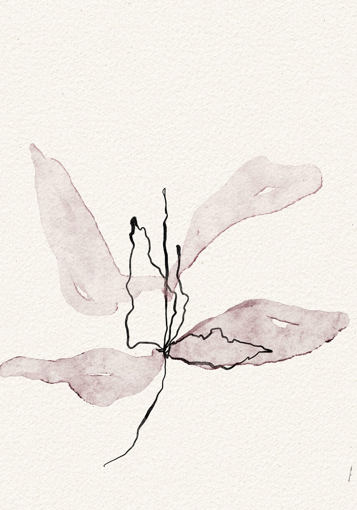 variant-70x100_no-margin