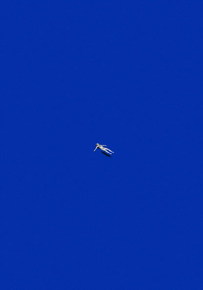 variant-70x100_no-margin