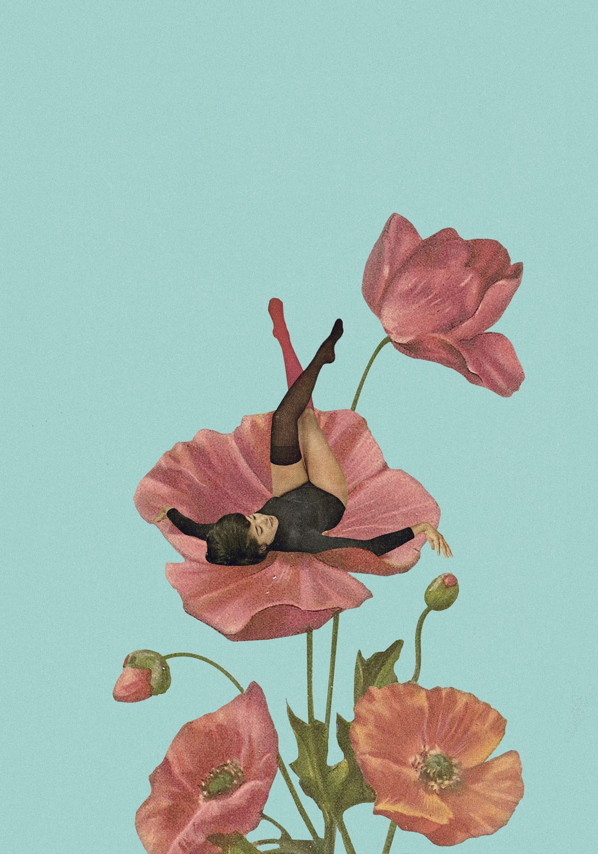 variant-70x100_no-margin