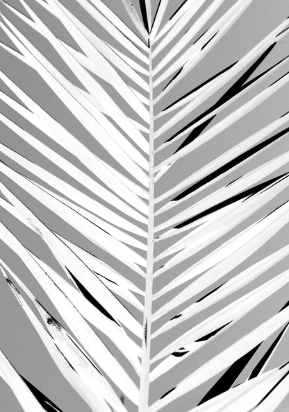 variant-70x100_no-margin