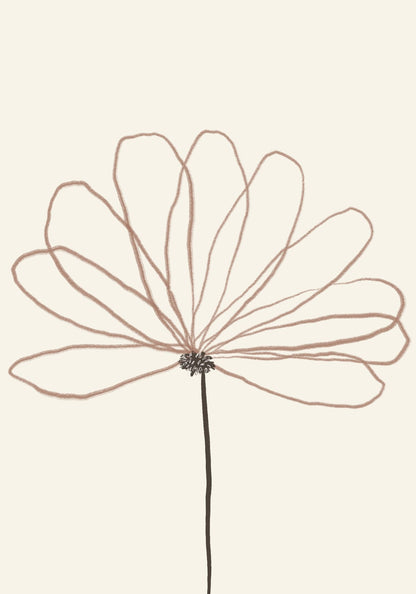 variant-70x100_no-margin