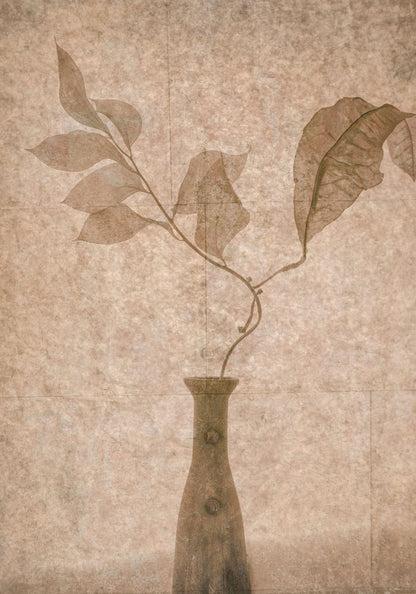 variant-70x100_no-margin
