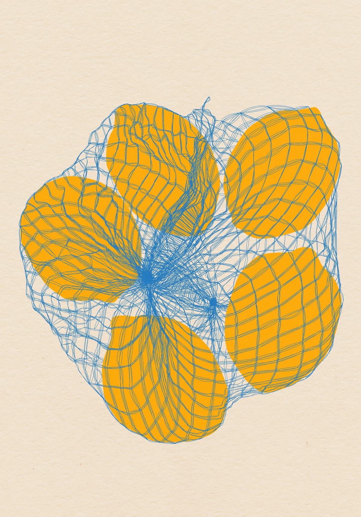 variant-70x100_no-margin