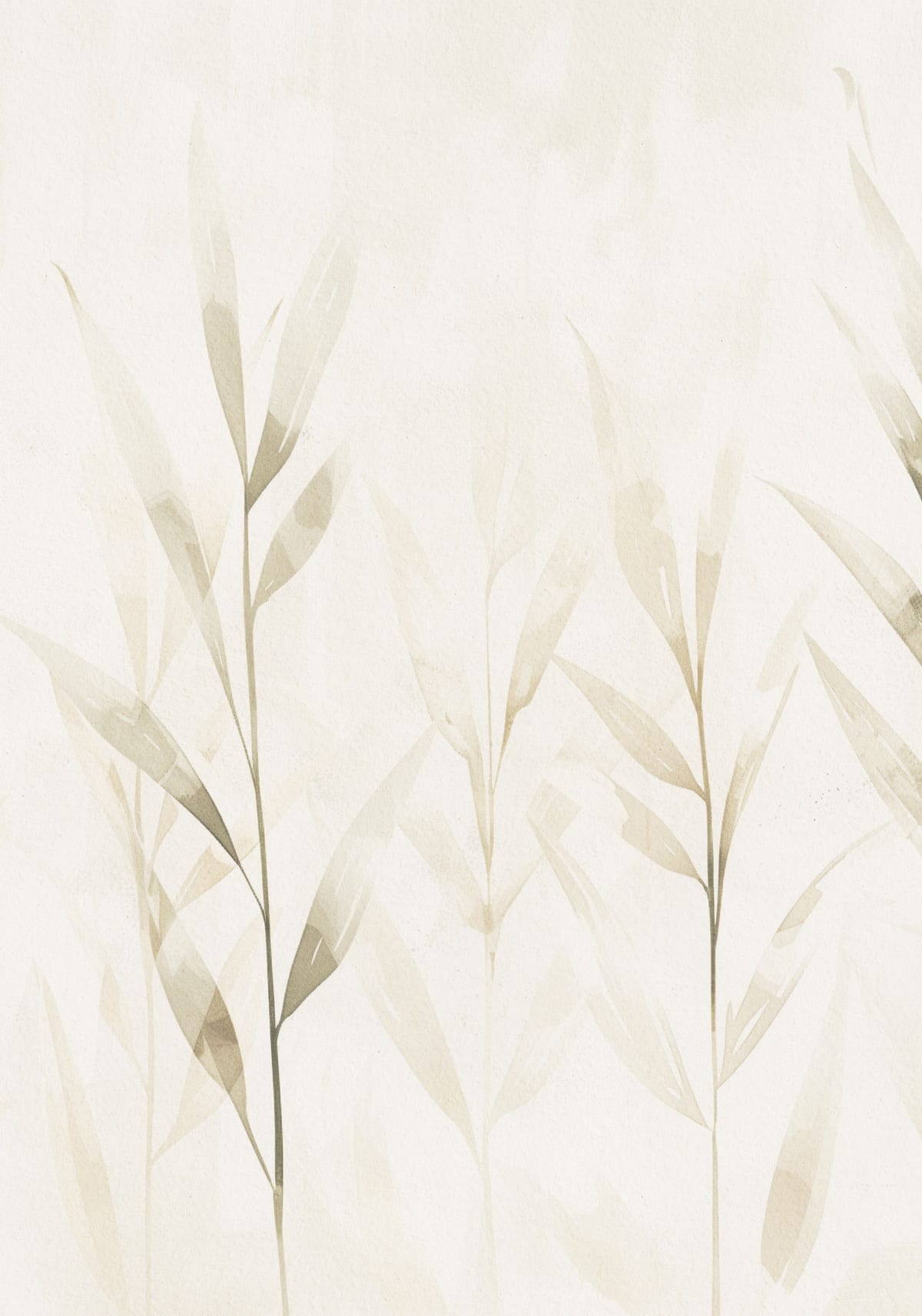 variant-70x100_no-margin